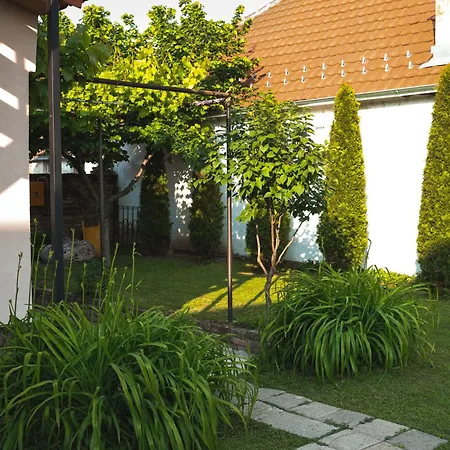 Kacara